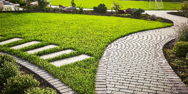 Landscaping of the garden. path curving through Lawn with green grass and walkway tiles.